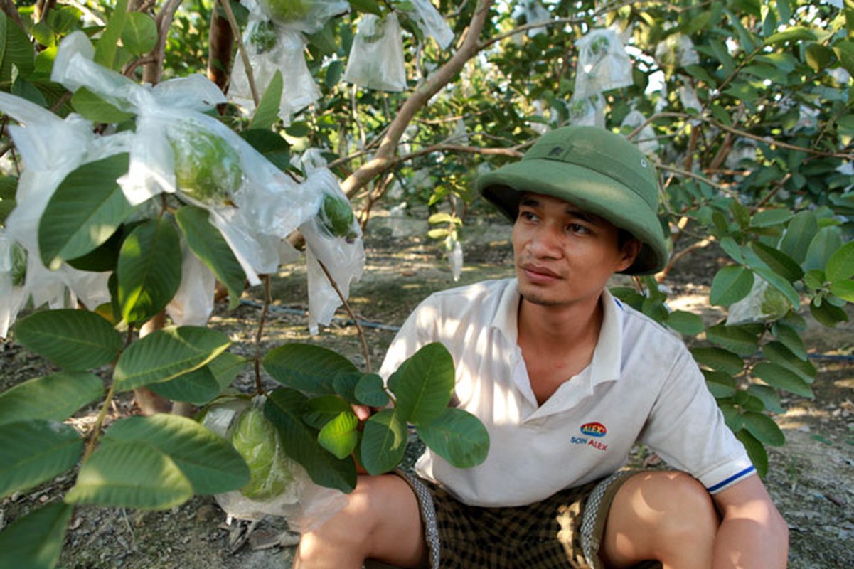 Ca sĩ Le Roi phải tra no lai may chuc trieu mõi tháng-Hinh-4